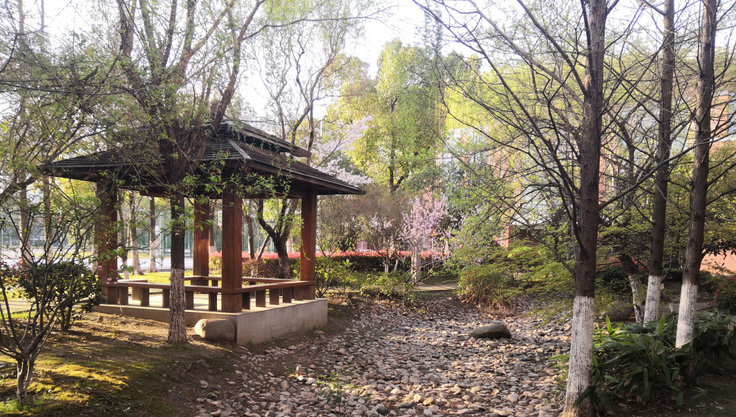 校园文化建设